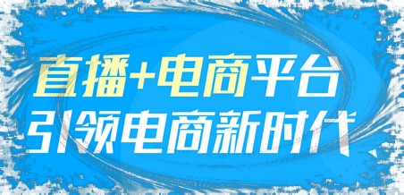 罗永浩是广告牌，薇娅李佳琦是团购网